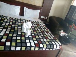 photo15